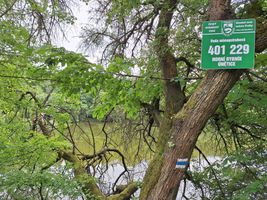 Horni-rybnik-Unetice-oznaceni-20.6.24-2.jpg