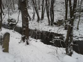 20160117_123447.jpg