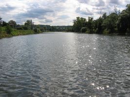 IMG_1560.JPG