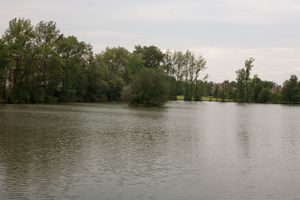 IMG_2687.JPG
