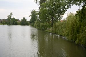 IMG_2689.JPG