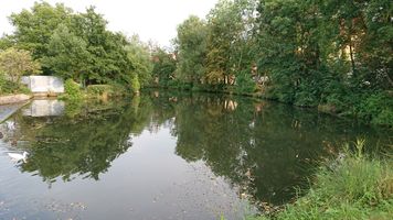 DSC_4949.JPG